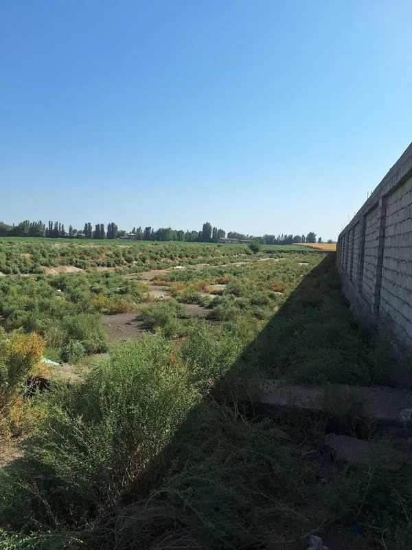 Продаётся земля 6,6 га Бозсув и 1,4 га Зангиата склад, база, логистика