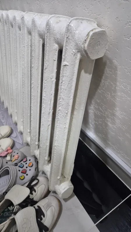 12 seksiyali cho‘yan radiator 3