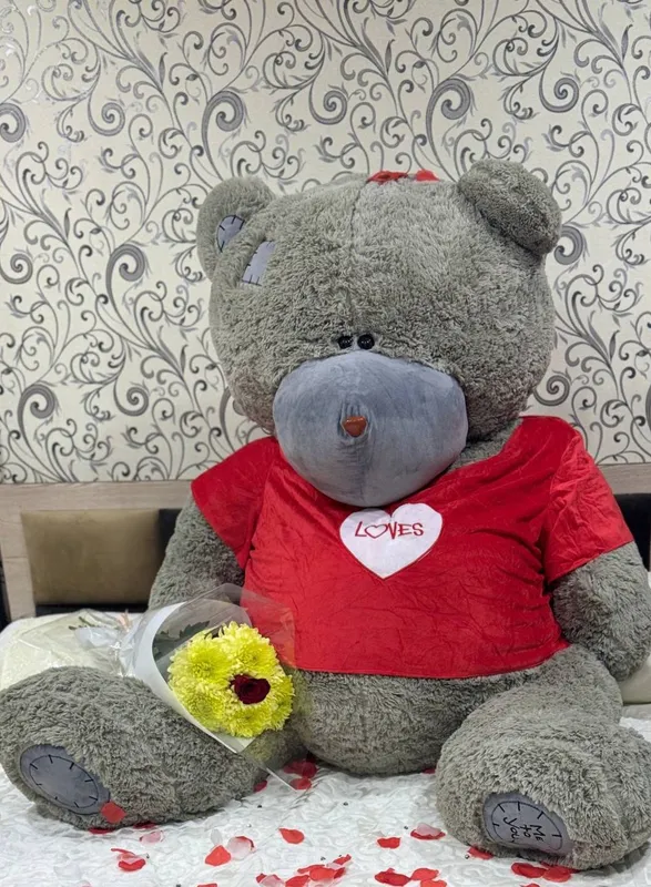 Teddy sotiladi yengi pachti