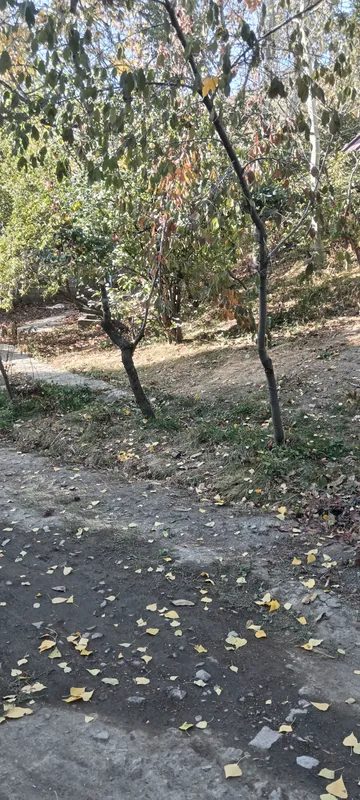 pervalda joy bor sotladgan