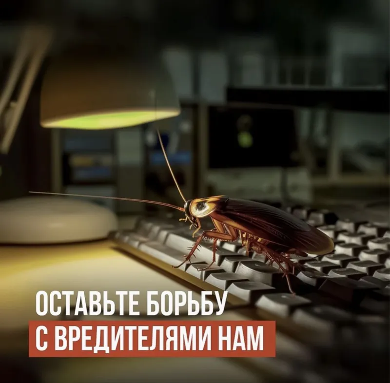 Дезенфекция дизенфек дезинфекция дизинфекция dezinfeksiya klapa klopa — фото 3