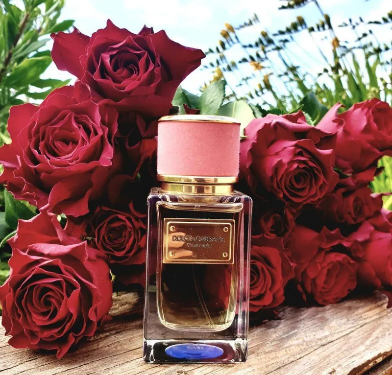 Dolce & Cabbana velvet Rose 50ml