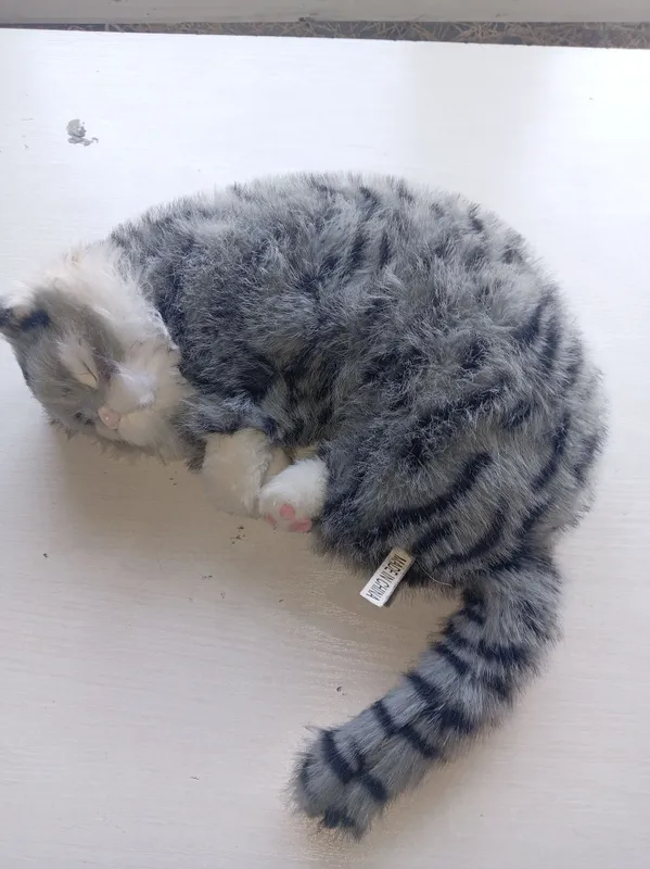 Котёнок, который мяукает 2