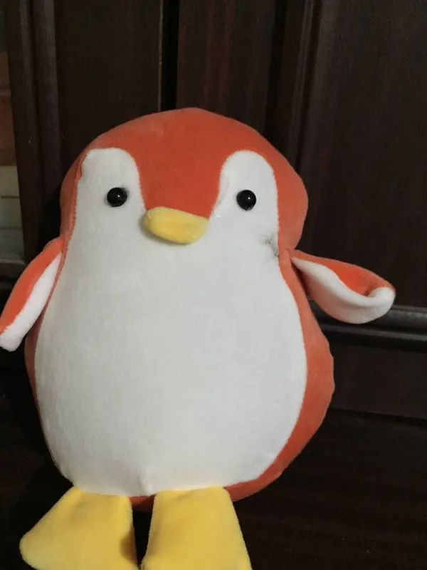 pinguvincha