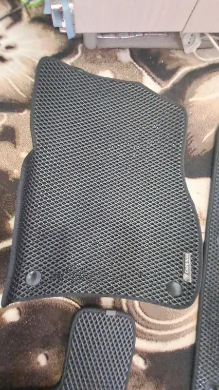Evokor polik Li 7 uchun 7 Evokor polik Li 7 uchun 7