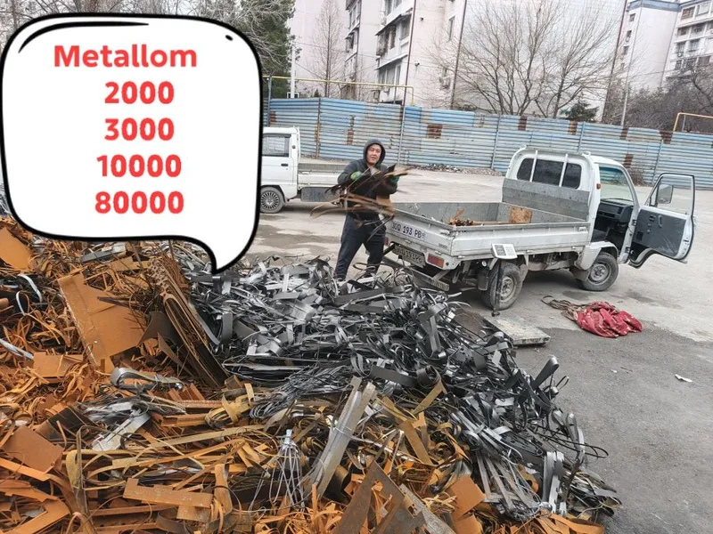 Metallom metal metalolom металолом металом