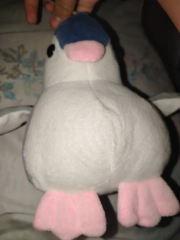 pingivincha yumshiq oynchoq