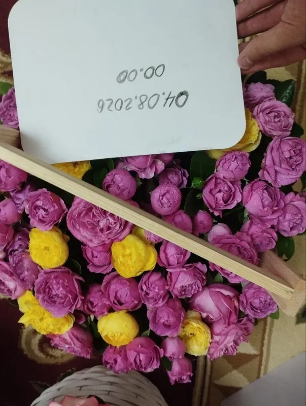 Tug'ilgan kunga sovg'a qilingan gul , svejiy pion gullari 1 Tug'ilgan kunga sovg'a qilingan gul , svejiy pion gullari 1