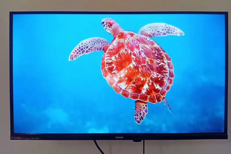 Телевизор Roison Smart TV 32' — фото 2