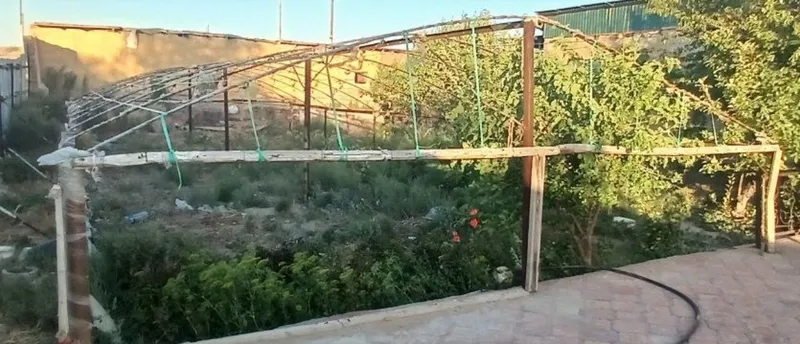 Tiplitsa sotiladi 1 Tiplitsa sotiladi 1