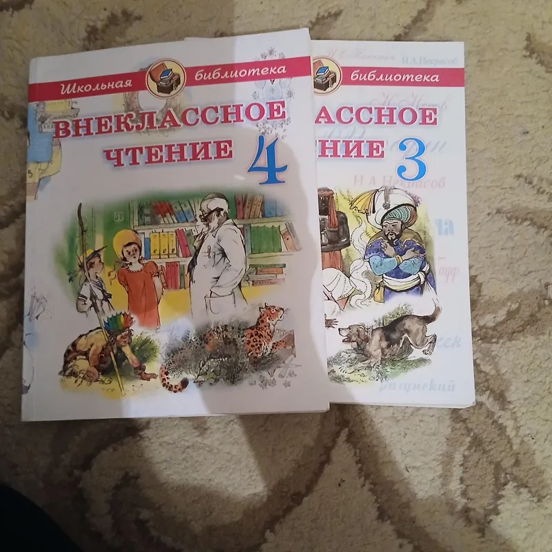 Внеклассная чтения