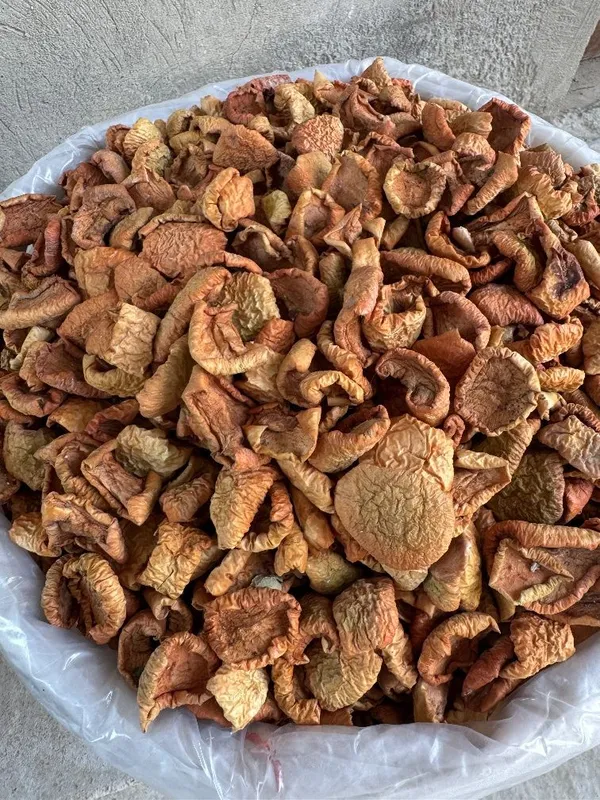 Яблоко сушенное olma quritilgan apple dried qoqi