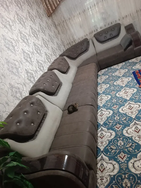 Ugalok mebel 5 ga 1