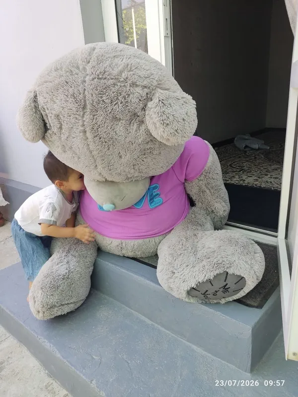 Katta ayiq teddy bear 1
