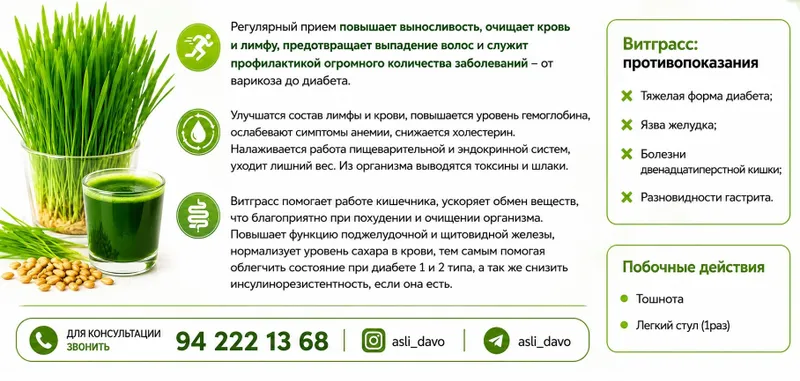 Wheatgrass vitgrassi 2 Wheatgrass vitgrassi 2
