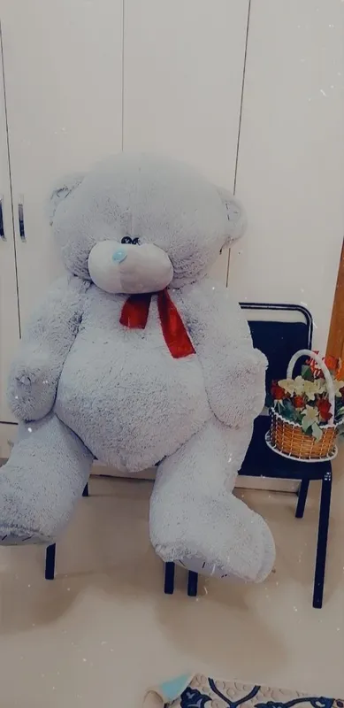 teddy