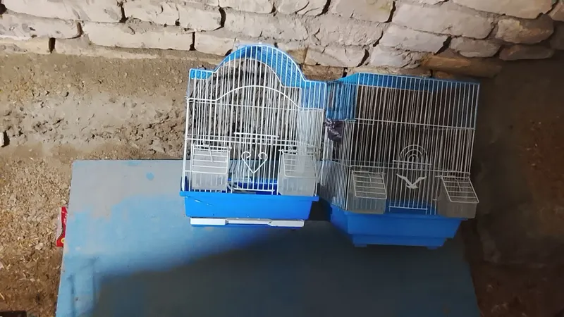 Клетка 1