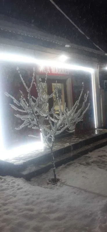 Уй сотилади 2,5 сотик, 3 хона — фото 2