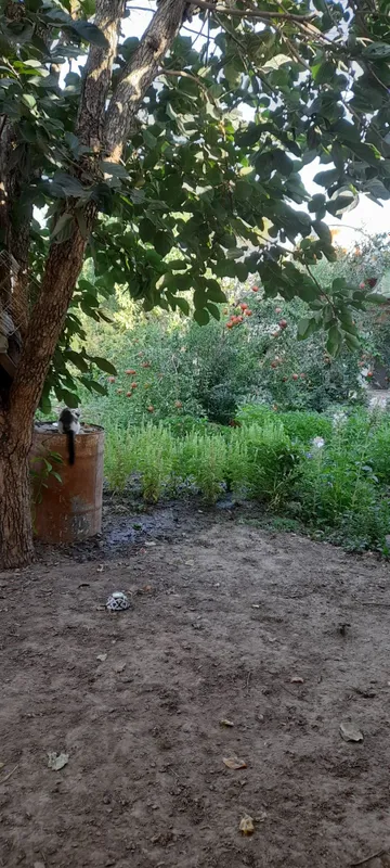 Ховли санатория бустон — фото 3