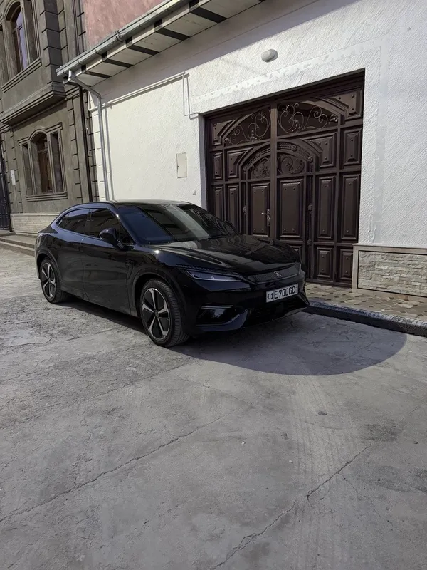 BYD Song L 4-pazitsiya 662 km — фото 3