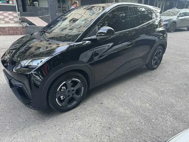 Byd Seagull Naxt va Xalol Nasyaga — фото 1