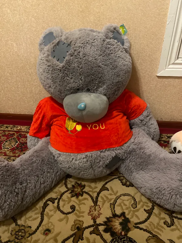 Teddy bear✨ Teddy bear✨