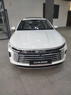 Byd chazor Luxe 55-km — фото 1