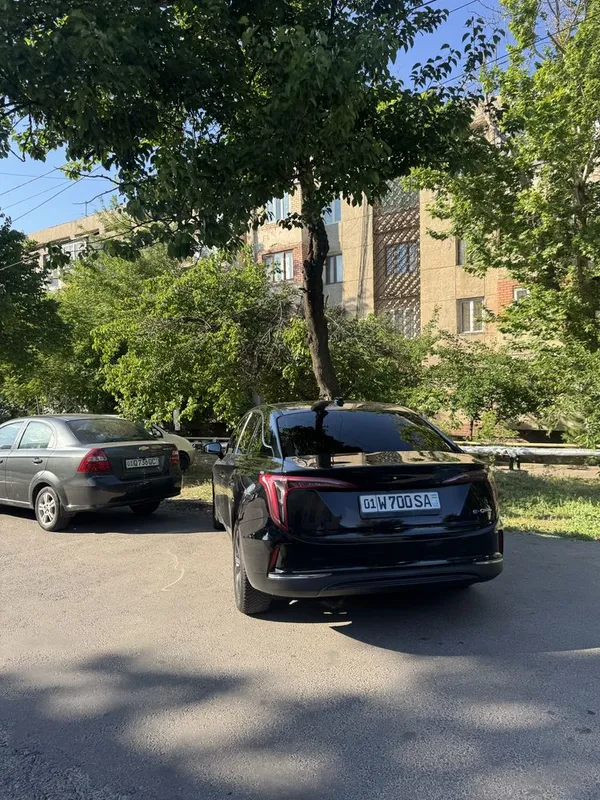 Hongqi eqm5 kraska toza halol prabek 3