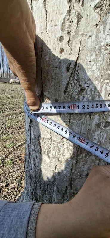 Teraklar Sotiladi 3 Teraklar Sotiladi 3
