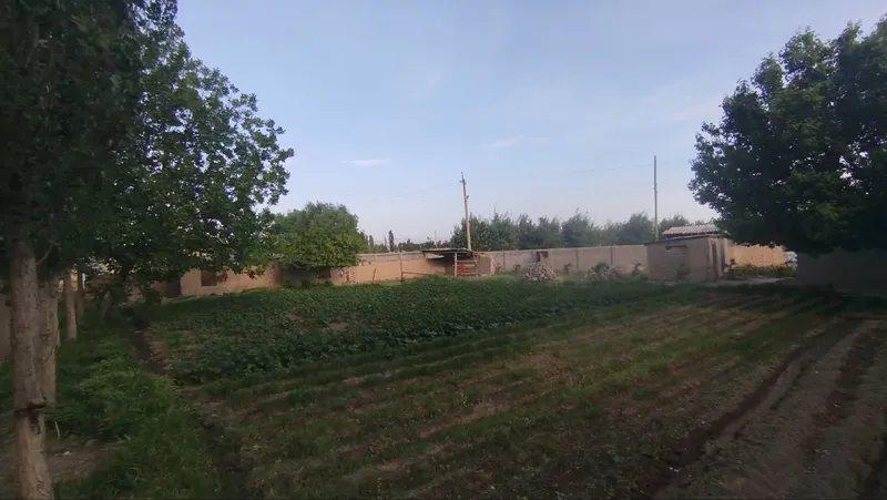 Hovli yer sotlad srochna 2 Hovli yer sotlad srochna 2