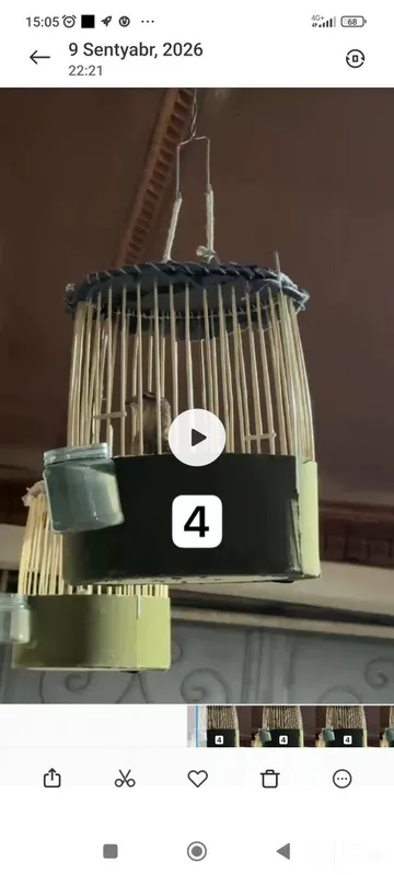 4 ta italya bedana 2 4 ta italya bedana 2