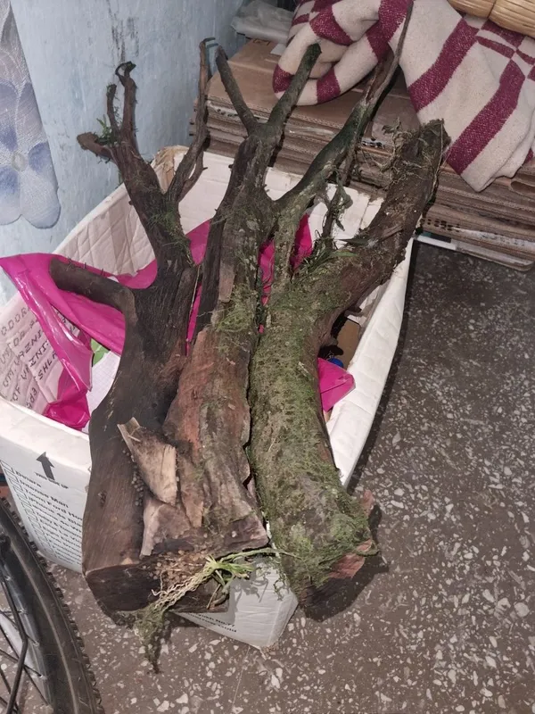 Коряга для аквариума 1 Коряга для аквариума 1