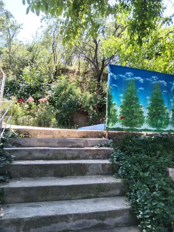 Бочкадан 2 км да кунлик узимизни дача — фото 1