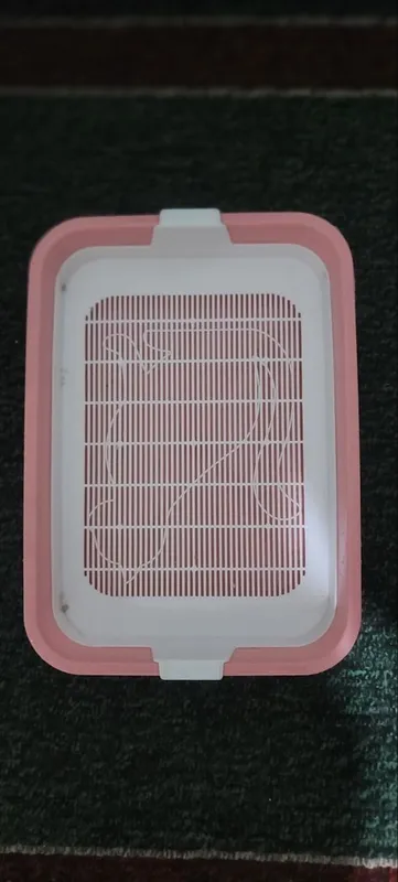 лоток для mushuk uchun tualet 28000