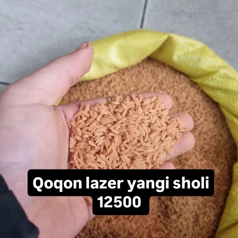 Istalgan hildagi guruch larni topib beramiz — фото 5