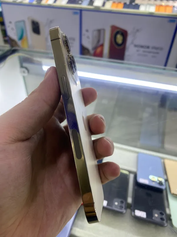 Apple 13 pro