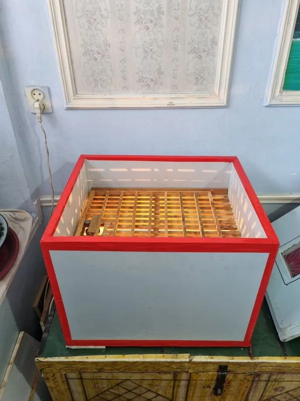 Inkubator sotiladi 50talik avtomat 1