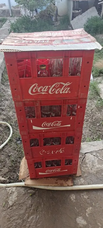 Kola tara . Kola yashik — фото 1