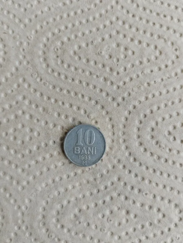 Монета Молдовы — 10 баней 1995 года (Алюминий).