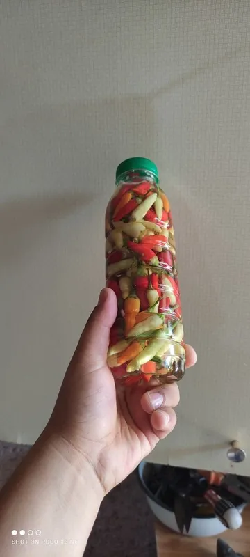 Qalampir tuzlangan Garimdori 1 Qalampir tuzlangan Garimdori 1