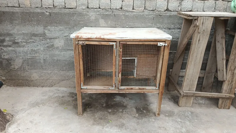 Quyon ini qafas tegi setkali