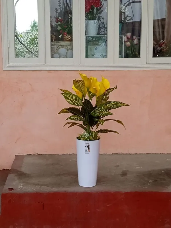 цветы 3