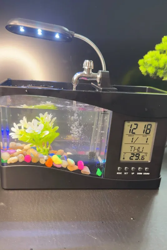 Akvarium Akvarium