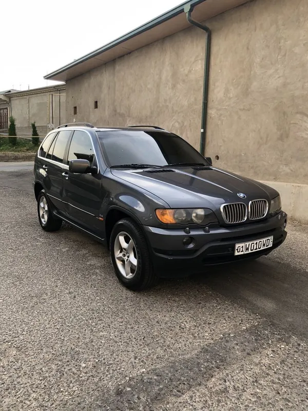BMW X5 E53 (2001-yil) 1