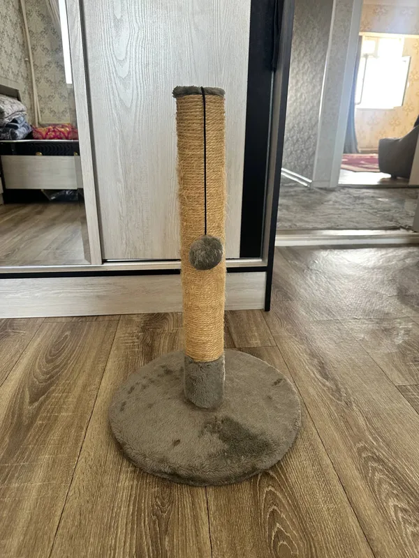 Mushuklar va mushukchalar uchun o‘yinchoq