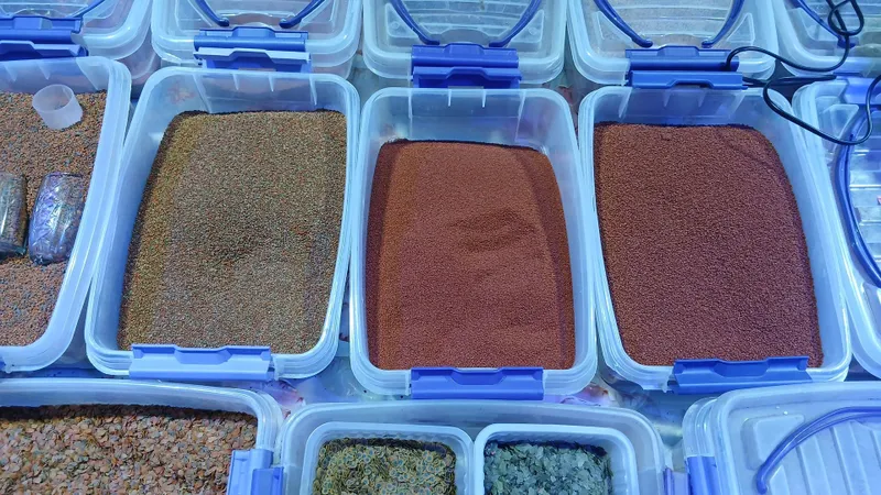 Замороженный мотыль, сухие корма для рыб. — фото 2