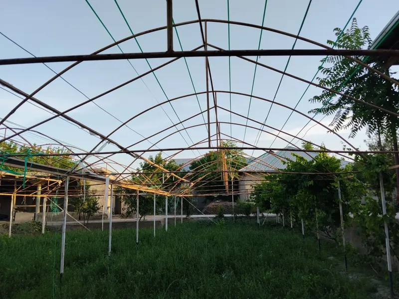 Теплица 1 Теплица 1