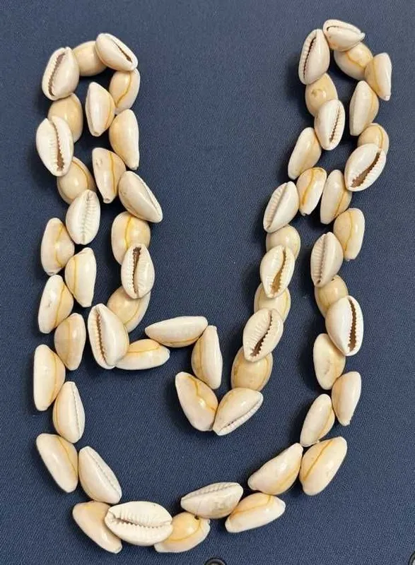 Бусы мз натуральных ракушек