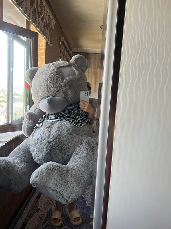 Kotta teddy etgan narxilaga bervoraman kelwamza