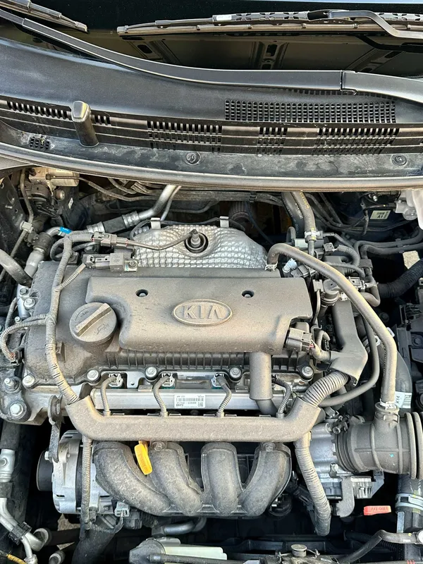 Kia Rio 2018, 1.4 MPI, автомат, хэтчбек, пробег 63 000 км 9